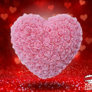 Καρδούλα Αγίου Βαλεντίνου από τεχνητά τριαντάφυλλα σε κουτί κόκκινο Mohicans 25cm 98200 Ροζ