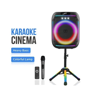 Ασύρματο ηχείο Karaoke Partybox Bluetooth 60W 8" με βάση, ασύρματο μικρόφωνο, τηλεχειριστήριο και πολύχρωμο φωτισμό WGY-868