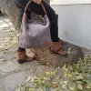 ΓΥΝΑΙΚΕΙΑ ΤΣΑΝΤΑ ΩΜΟΥ MOHICANS 83624 ΓΚΡΙ